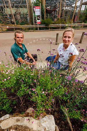 Volunteers have helped to cleared up a green space at Banham Zoo