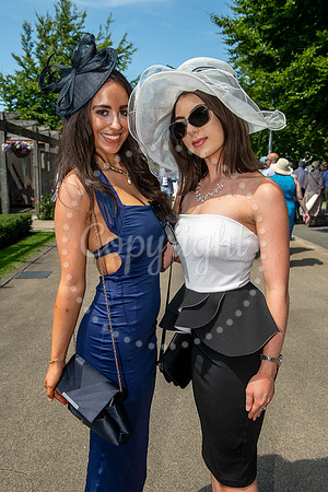 NJ Ladies Day 2025 Newmarket July course. Picture by Mark Westle
