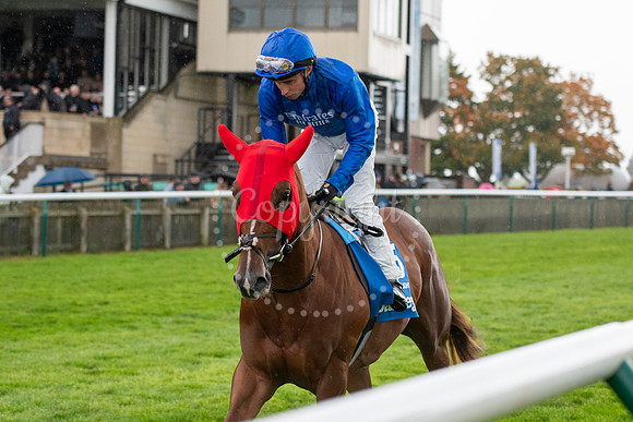 Newmarket Rowley Mile racecourseDubai Future Champions’ weeke