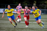 AFC Sudbury, Brundon Lane, Sudbury Football - AFC Sudbury hosti