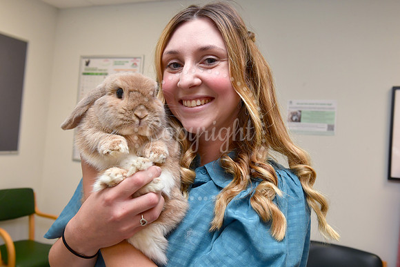 Pet of the Year competition winners