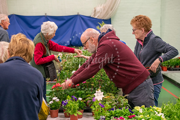 NJ Ellesmere Centre, Stetchworth. Plant sale. Picture by Mark We