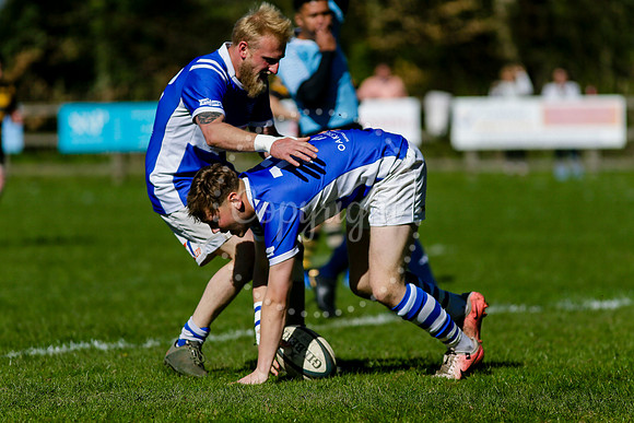 Rugby action from Diss vs Ely