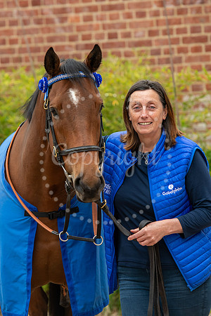 NJ Newmarket National Horseracing Museum, Godolphin therapy hors