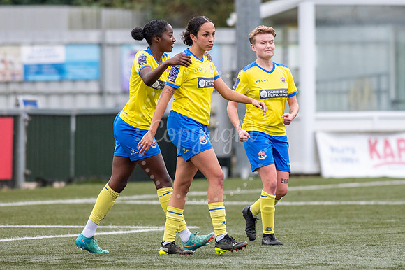 AFC Sudbury, Brundon Lane, Sudbury Football - AFC Sudbury hosti