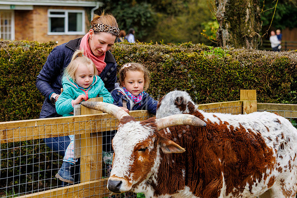 Banham Zoo Easter Egg Hunt