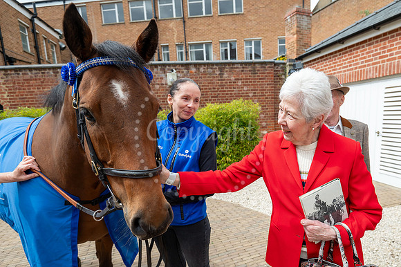 NJ Newmarket National Horseracing Museum, Godolphin therapy hors