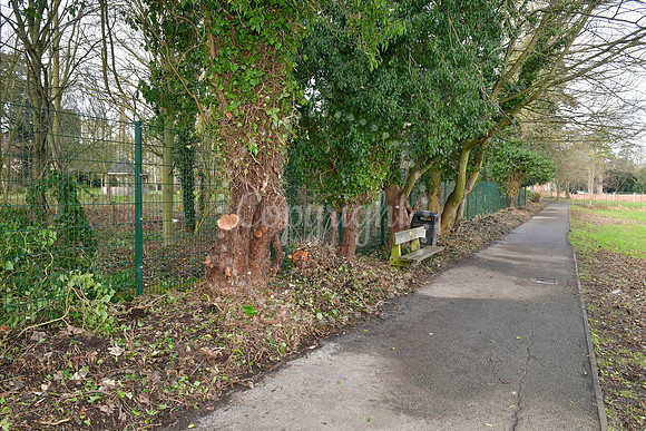 Minster field hedge