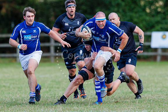 Rugby action from Diss v Holt