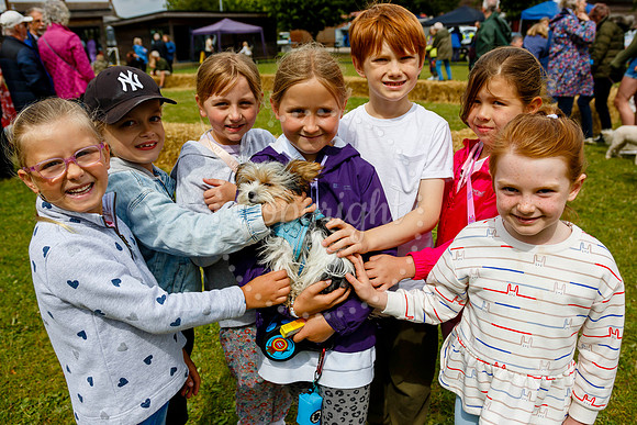 Gislingham Summer Fair held at Primary School field