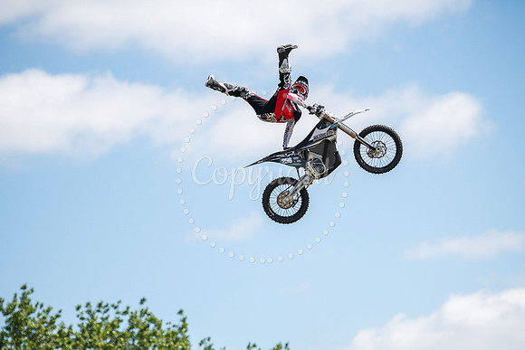 SPF Holbecks Park, Hadleigh, Suffolk186th Hadleigh Show. Pictur