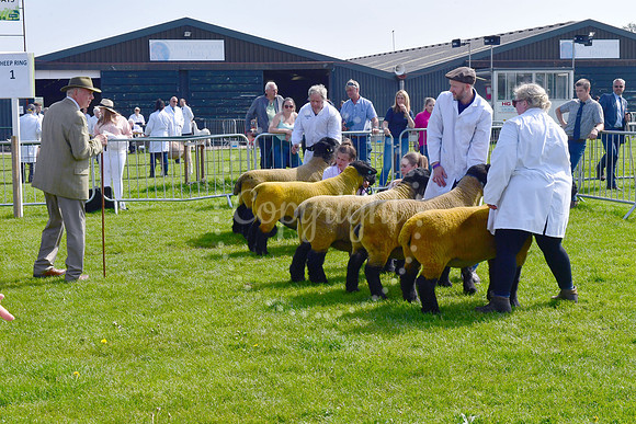 Nottingham County Show