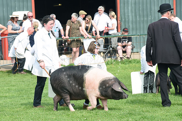 Nottingham County Show