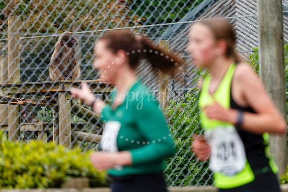 Run Banham Zoo 5K Race