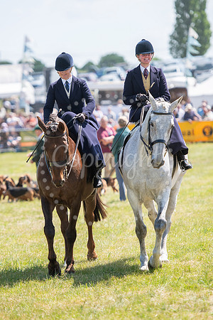 SPF Holbecks Park, Hadleigh, Suffolk186th Hadleigh Show. Pictur