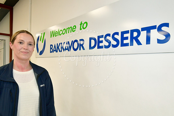 Bakkavor Desserts