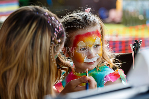 Roydon Summer Fair