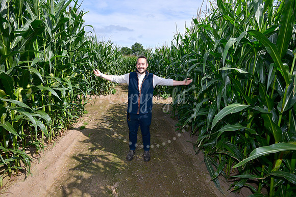Notts Maze opening