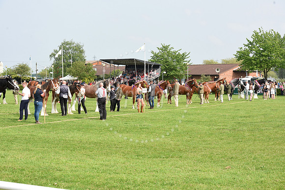 Nottingham County Show