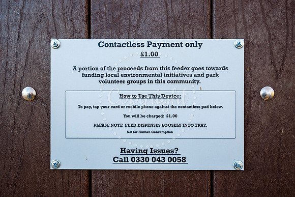 Diss Duck Feeding Station