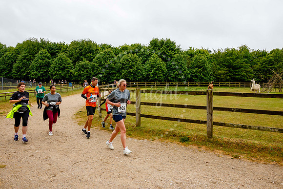 Run Banham Zoo 5K Race
