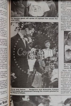 The report in the Norfolk and Suffolk Express which was publishe