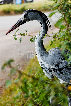 Bird Banksy