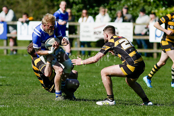 Rugby action from Diss vs Ely