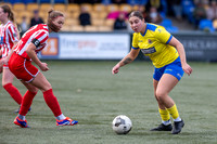 AFC Sudbury, Brundon Lane, Sudbury Football - AFC Sudbury hosti