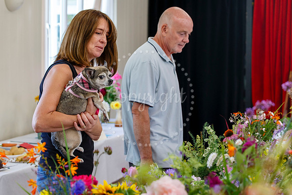 Gislingham Gardening, Art & Produce Show