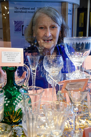 Ann Kent has a new exhibition in the community cabinet of Diss M