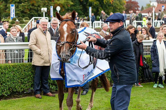 Newmarket Rowley Mile racecourseDubai Future Champions’ weeke
