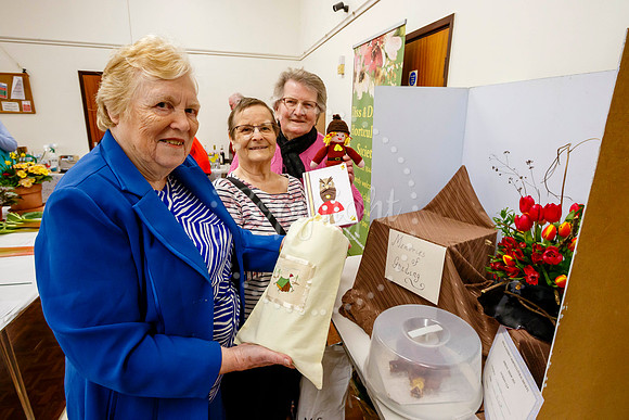 Diss and District Horticultural Society Spring Flower Show