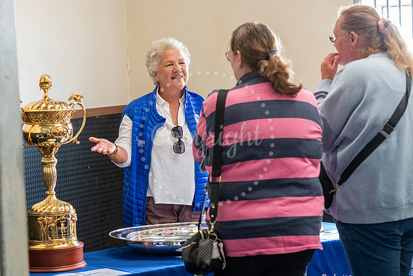 Wood Ditton StudFirst public opening of Godolphin’s retired r