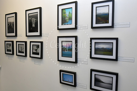 Aces Art Gallery