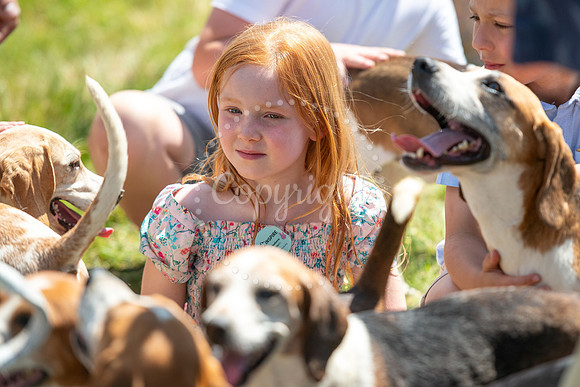 SPF Holbecks Park, Hadleigh, Suffolk186th Hadleigh Show. Pictur