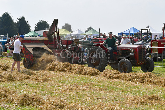 Nottingham County Show