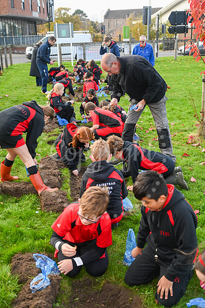 The Severals, Newmarket Pupils from Fairstead House School plant