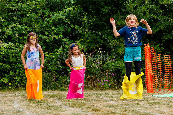 Redlingfield Summer Fayre