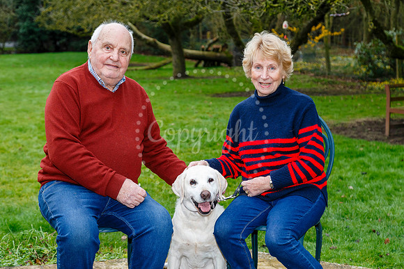 Daisy the Labrador