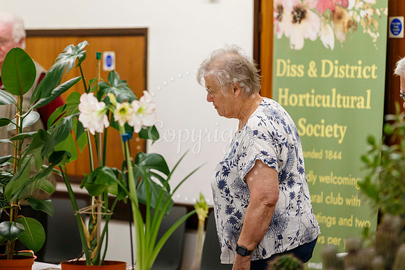 Diss and District Horticultural Society Spring Flower Show