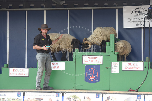 Nottingham County Show