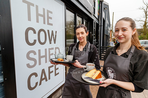 The Cow Shed Cafe in Stuston