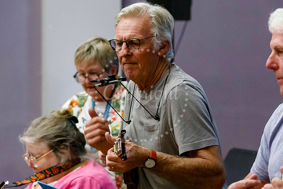 Ukele day held at the Cornhall in Diss