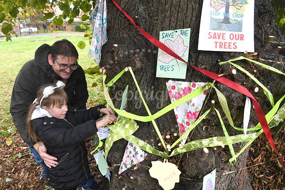 Peaceful picnic and music to protest against felling of trees