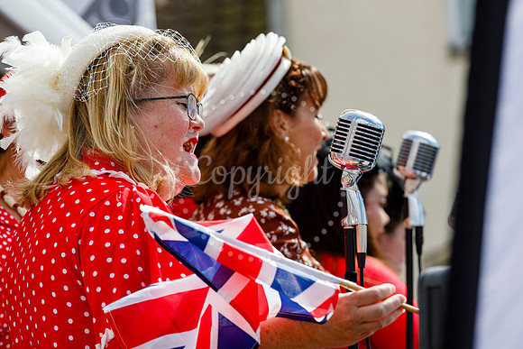 Armed Forces day on Diss Market Place