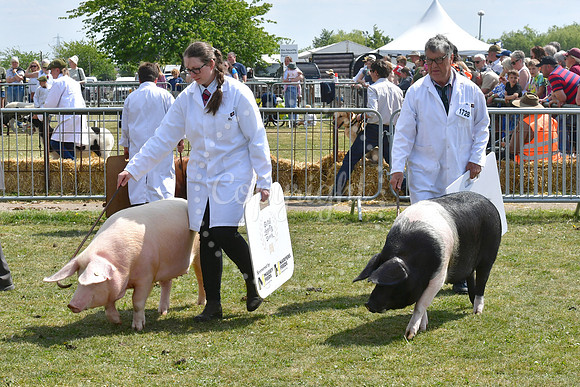 Nottinghamshire County Show