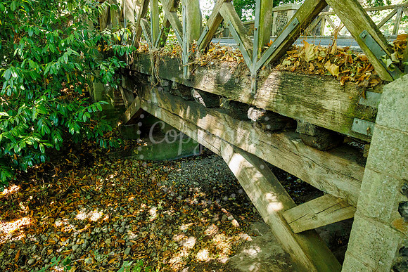 One of the streams which feeds the River Dove in Hoxne under Gol