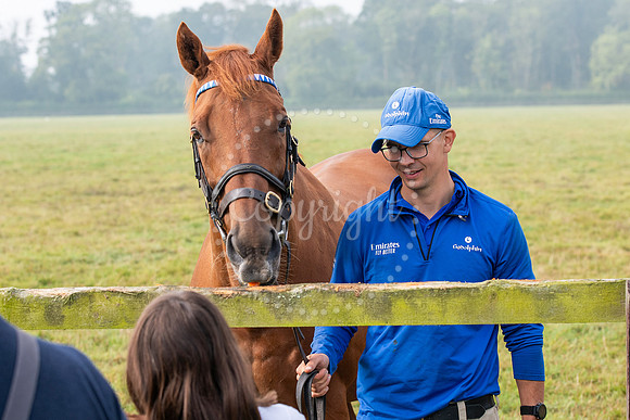 Wood Ditton StudFirst public opening of Godolphin’s retired r