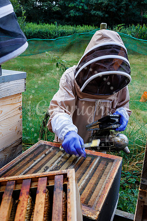 Starston Community Bee Group is celebrating 10 years